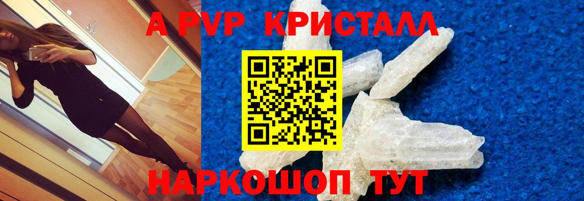 Альфа ПВП СК КРИС Буйнакск
