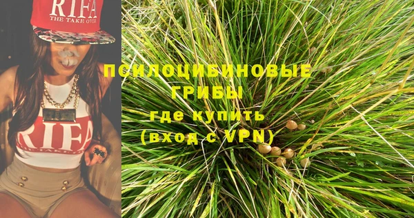 гашик Семикаракорск