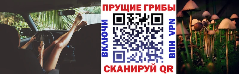 МЕГА ТОР  где купить наркоту  Буйнакск  Галлюциногенные грибы Magic Shrooms 