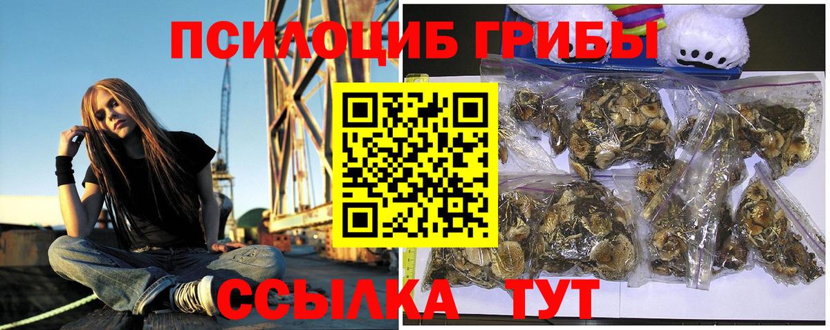 Галлюциногенные грибы ЛСД  Галлюциногенные грибы мицелий  Буйнакск  Вход с VPN 